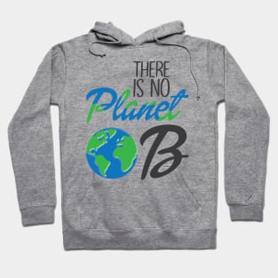 There Is No Plan(et) B |Nature Environmental Hoodie